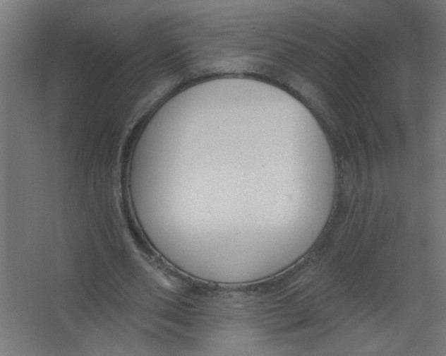 X0000067330486200604211913