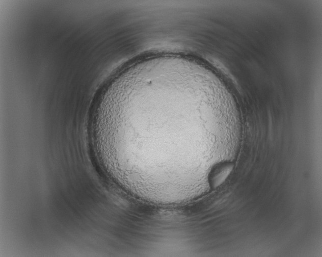 X0000067330487200604211913