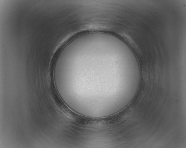 X0000067330488200604211913