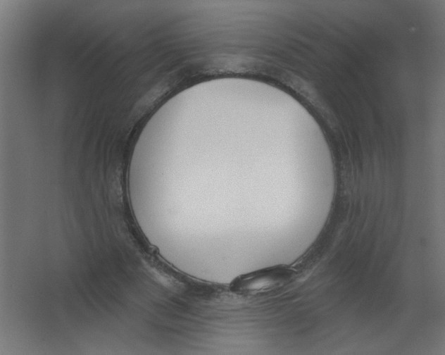 X0000067330489200604211913