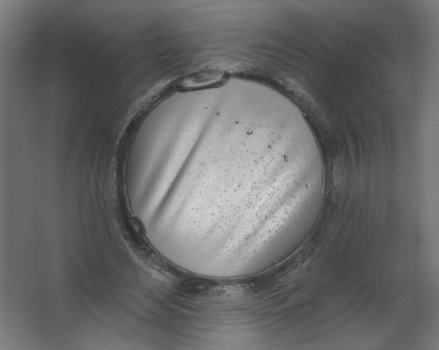 X0000067330492200604211913