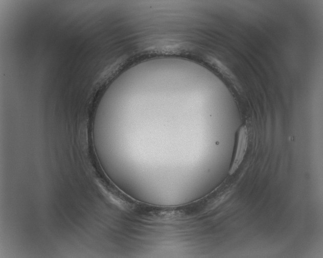 X0000067330493200604211913