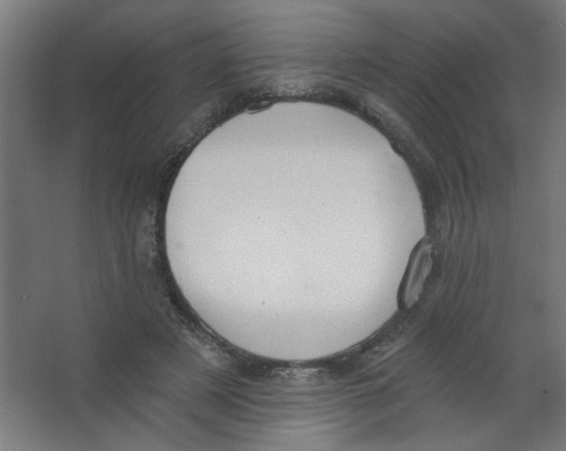 X0000067330497200604211913