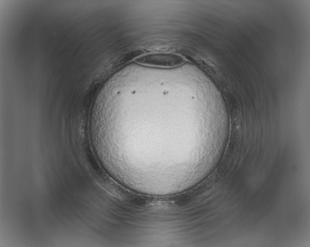 X0000067330499200604211913