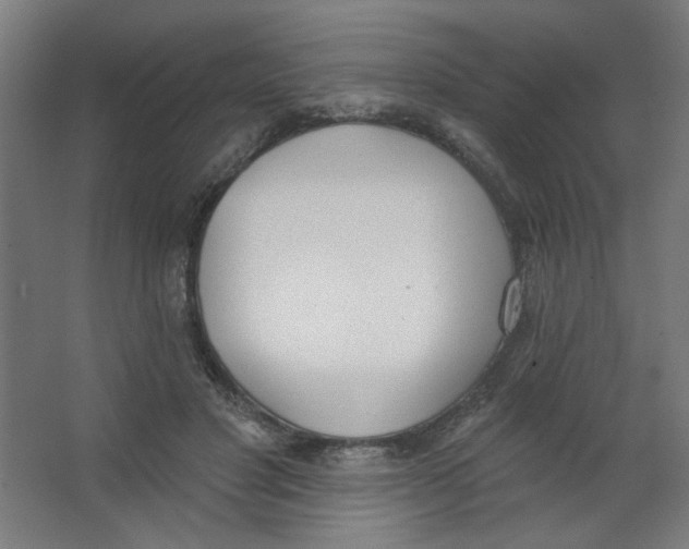 X0000067330501200604211913