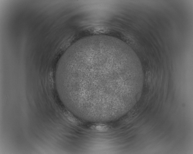 X0000067330506200604211913