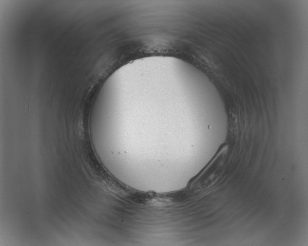 X0000067330508200604211913