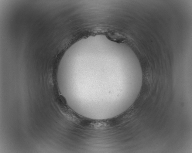 X0000067330512200604211913