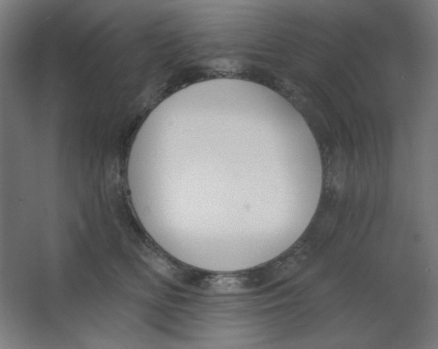 X0000067330518200604211913