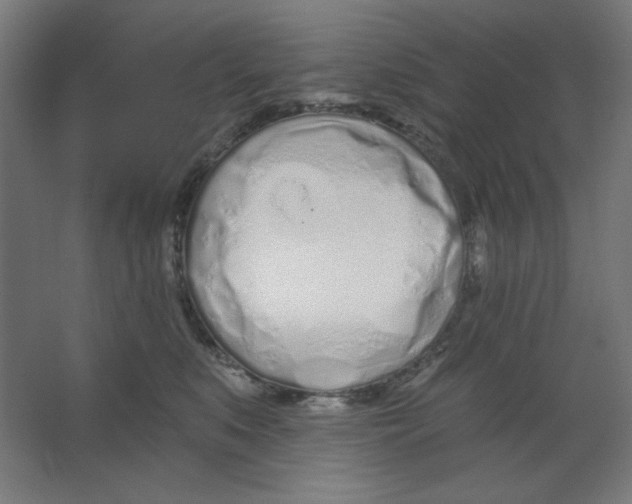 X0000067330519200604211913