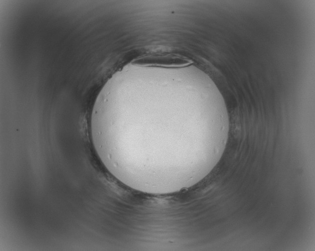 X0000067330523200604211913