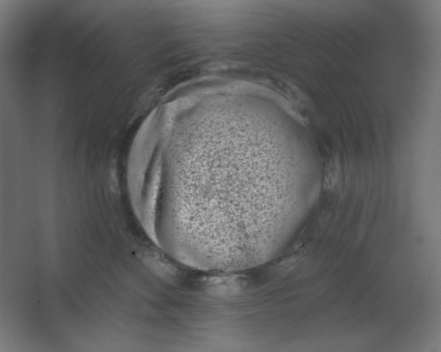 X0000067330524200604211913