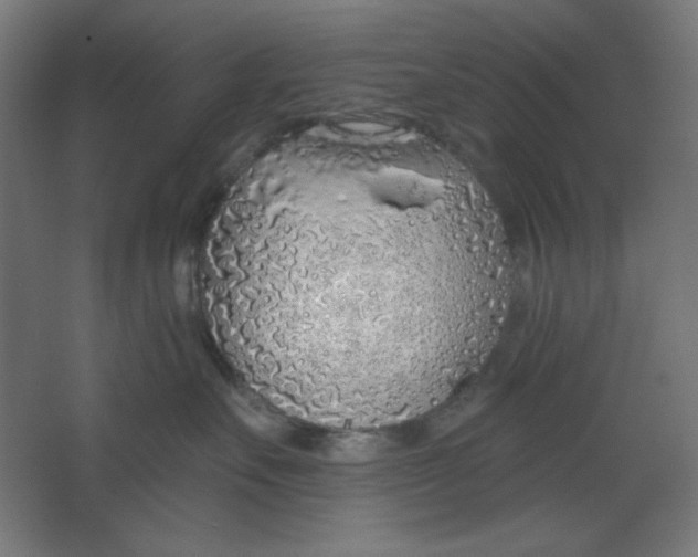 X0000067330527200604211913
