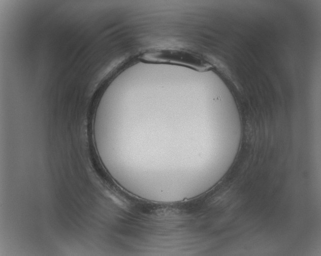 X0000067330535200604211912