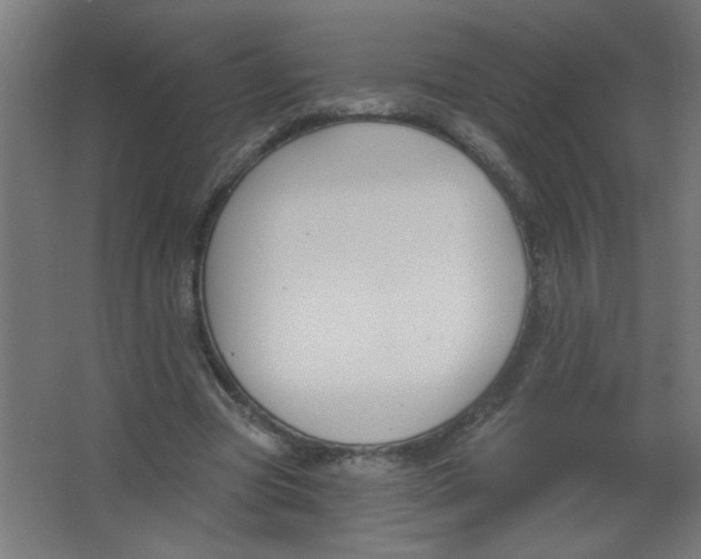 X0000067330537200604211912