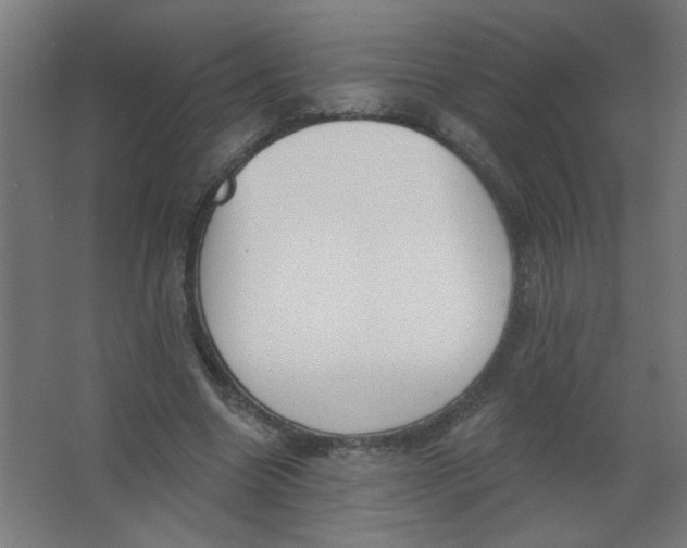 X0000067330538200604211912