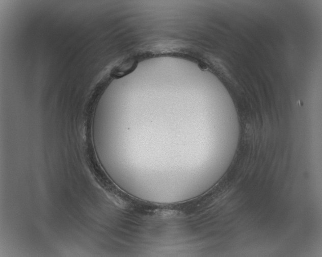 X0000067330539200604211912