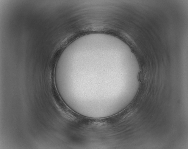 X0000067330542200604211912