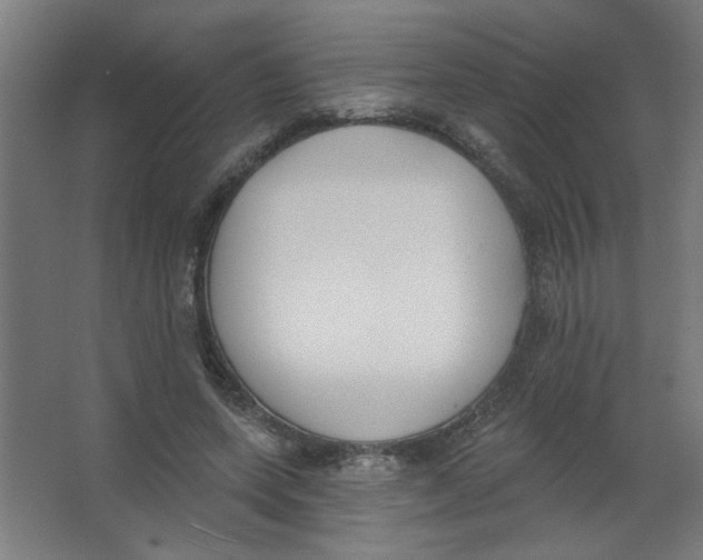 X0000067330543200604211912