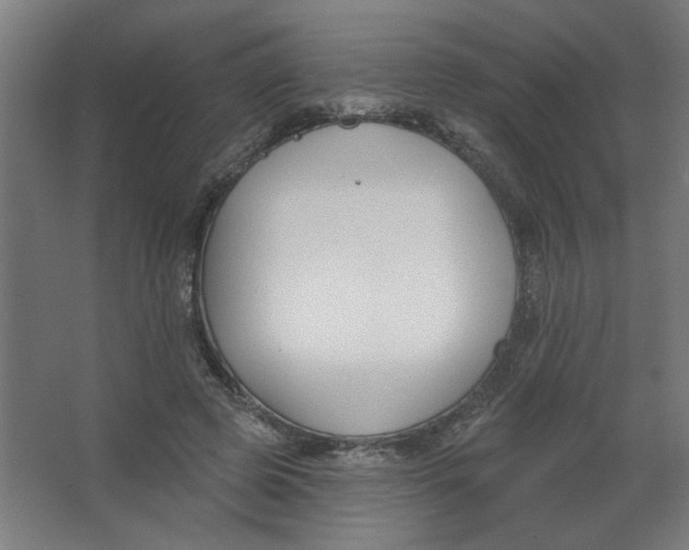 X0000067330545200604211912