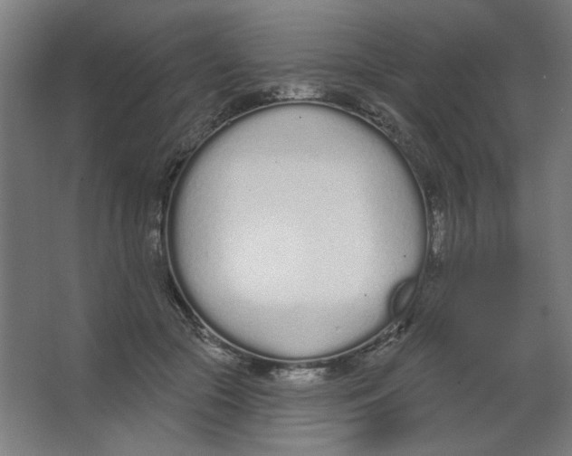 X0000067330553200604211912