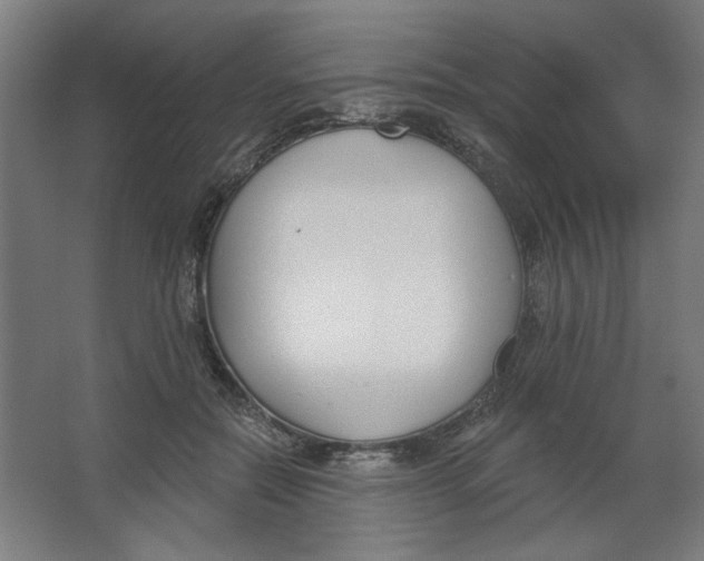 X0000067330554200604211912