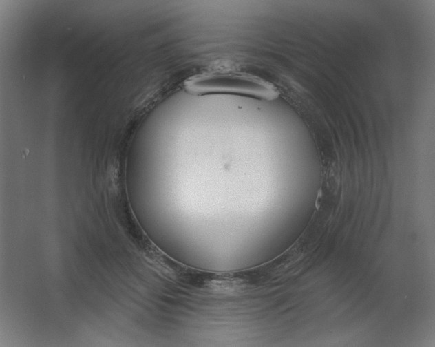 X0000067330556200604211912