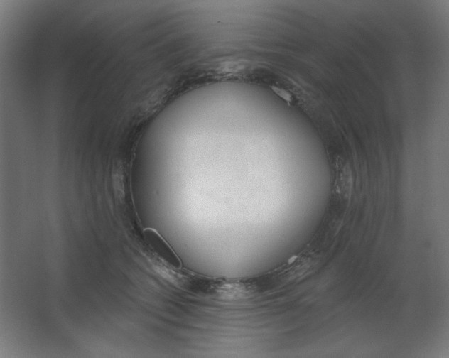 X0000067330562200604211912