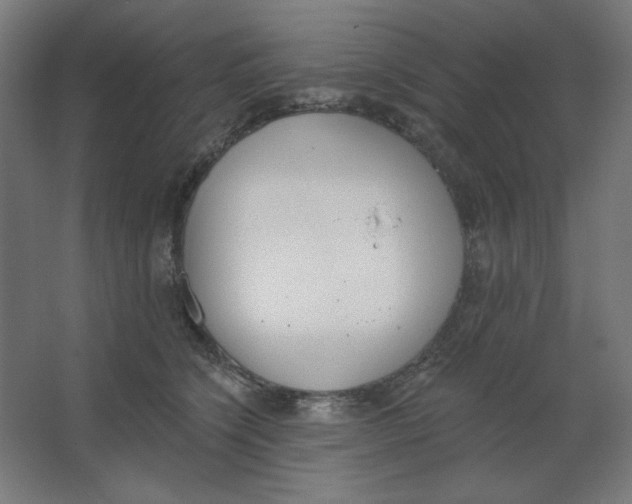 X0000067330564200604211912