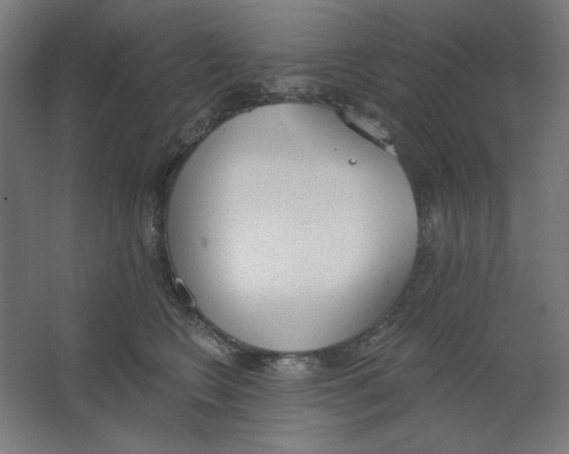 X0000067330566200604211912