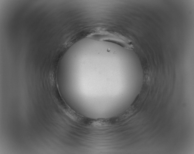 X0000067330568200604211912