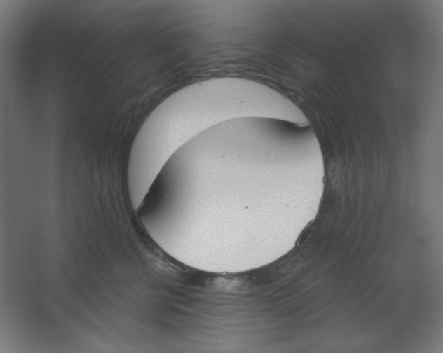 X0000067330570200604211912