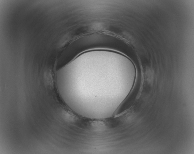 X0000067330572200604211912
