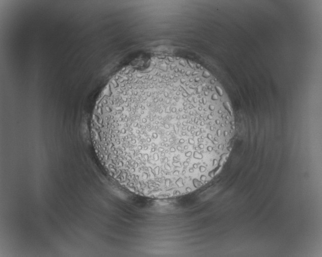 X0000067330573200604211913