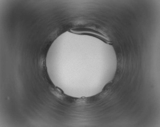 X0000067330574200604211913
