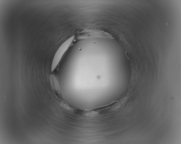 X0000067330576200604211913