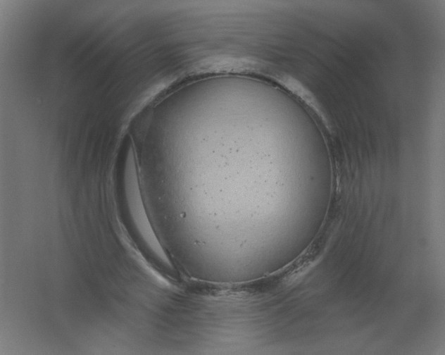 X0000067330581200604211912