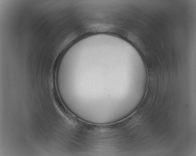 X0000067330582200604211912