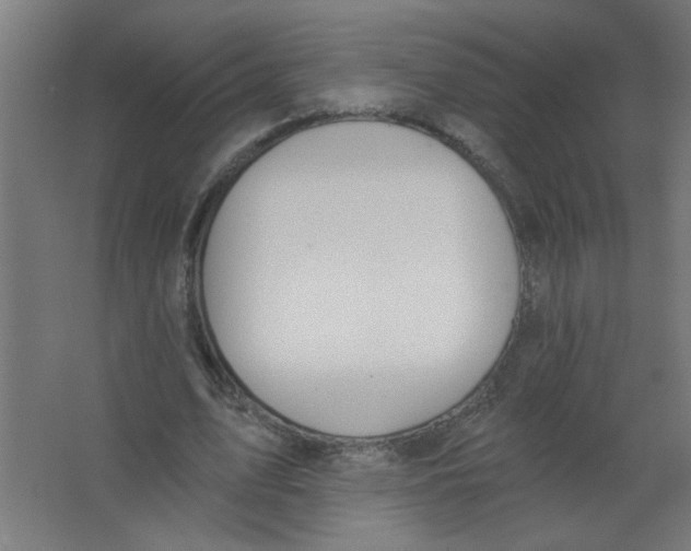 X0000067330583200604211912