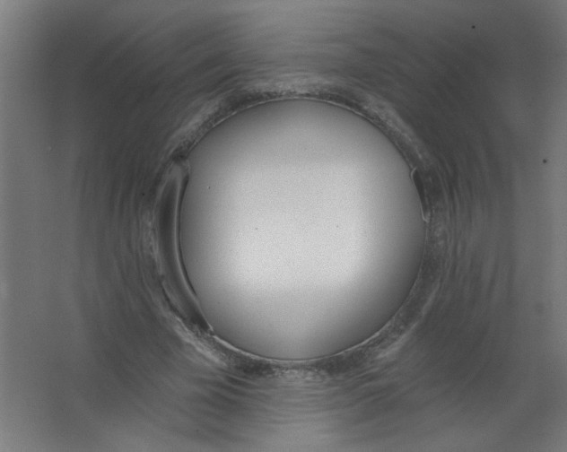 X0000067330585200604211912