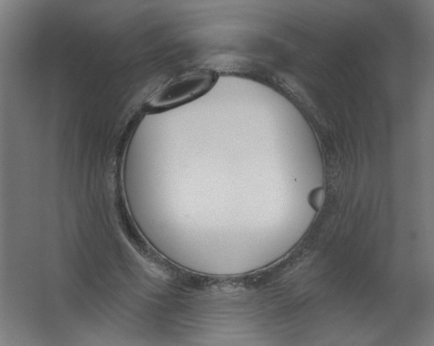 X0000067330586200604211912