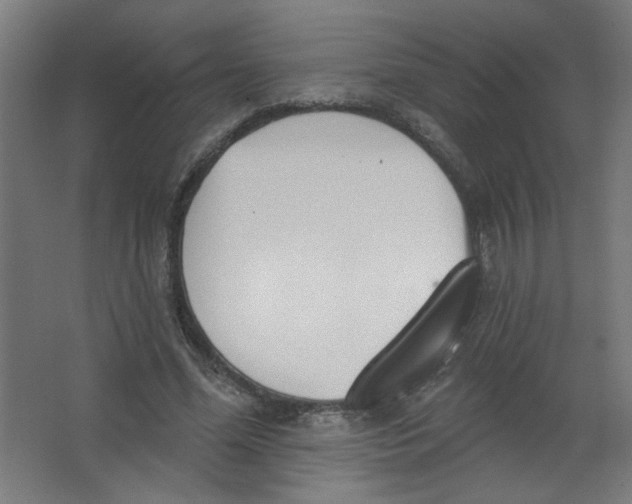 X0000067330588200604211912
