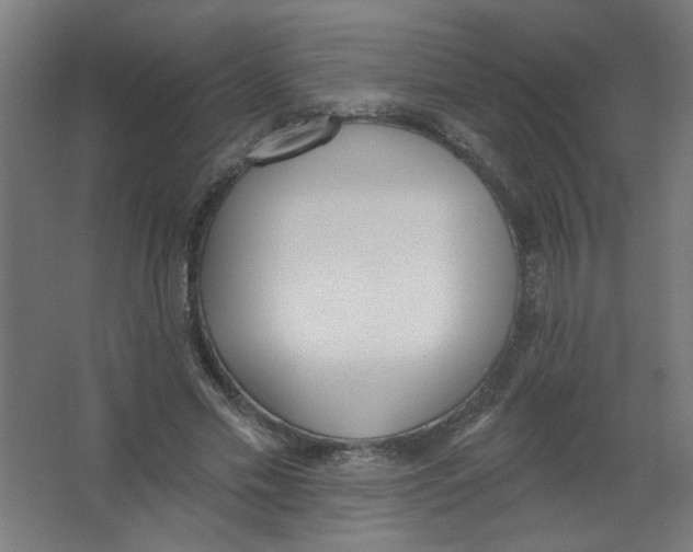 X0000067330589200604211912