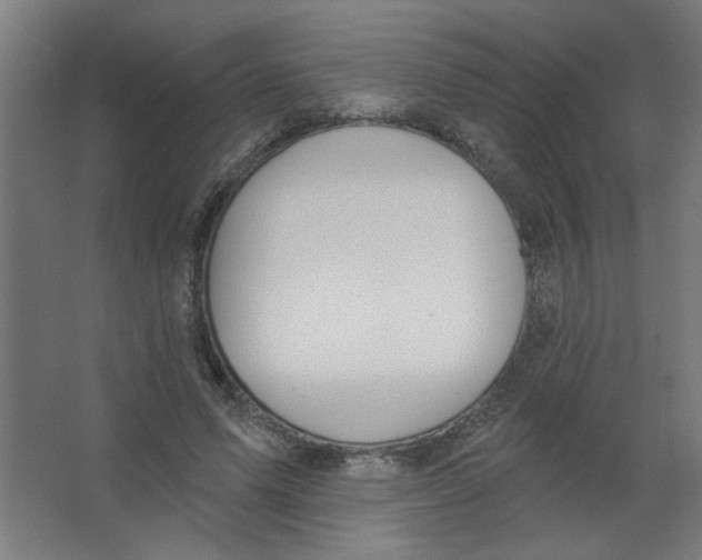 X0000067330591200604211912