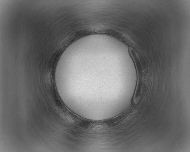 X0000067330597200604211911