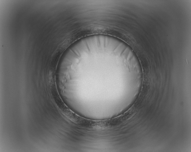 X0000067330598200604211911