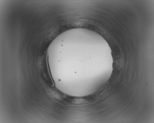 X0000067330605200604211911