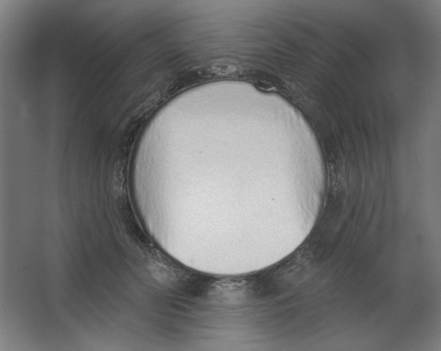 X0000067330606200604211911