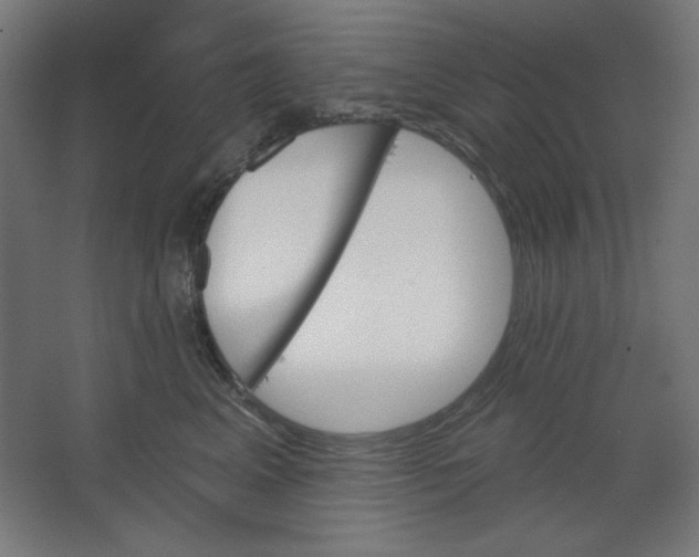 X0000067330617200604211911