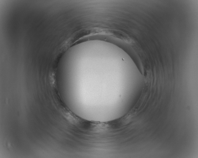 X0000067330621200604211911
